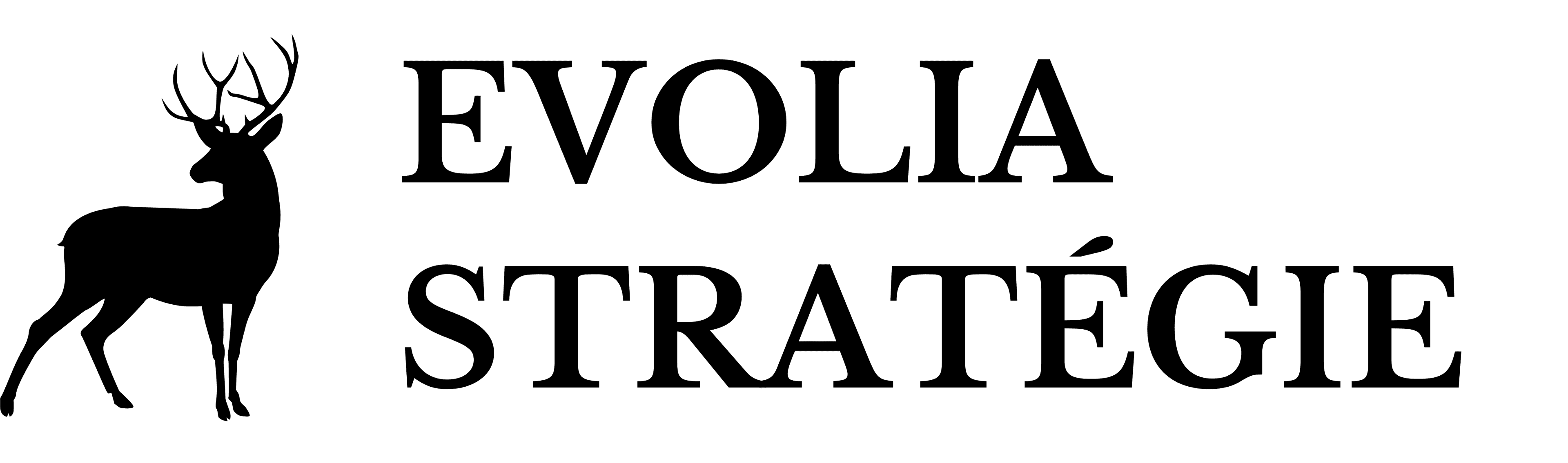 Evolia Stratégie